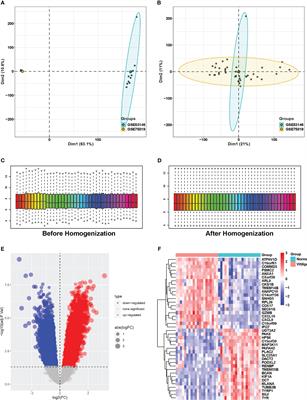 Mitophagy and immune infiltration in vitiligo: evidence from bioinformatics analysis